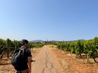 Cycliste avec casque et sac à dos sur chemin de terre à travers les vignobles de la Route des Vins d'Alsace. Village avec clochers et montagnes visibles.