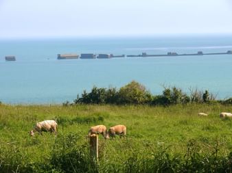 plage-debarquement-normandie-bassin-paysage-c-cdt14