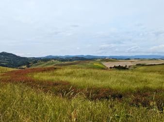 Entre San Gimignano et Volterra, dans les environs de Prato d'Era