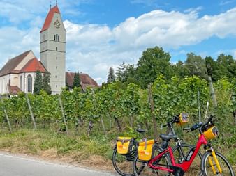 A vélo à Hagnau, sur les rives du bord de Constance