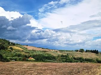 Collines toscanes avec vignobles en terrasses et oliveraies sous un ciel nuageux. Champ de blé moissonné au premier plan, maisons aux toits rouges.