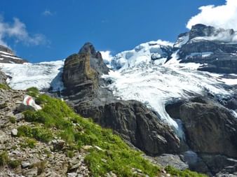 Alpes bernoises