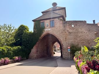 Porte voûtée en pierre avec tour couverte de lierre sur la Route des Vins d'Alsace. Des fleurs colorées bordent la route pavée.