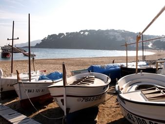 Bateaux de pêche traditionnels sur la plage de sable de Llafranc, Costa Brava. Baie calme avec colline boisée en arrière-plan sous une douce lumière matinale.