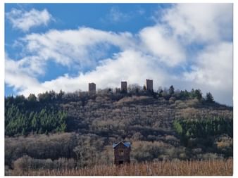 hiver-circuit-alsace-maintenance-jour-cinq-eguisheim-chateaux