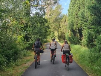 Trois cyclistes avec sacoches roulant sur un chemin asphalté à travers des arbres verdoyants en Provence sous un ciel bleu.