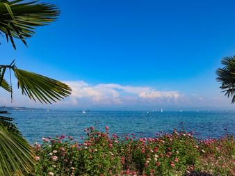 Douceur du climat au Lac de Constance