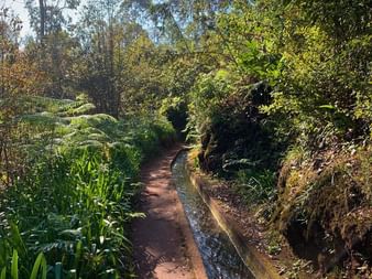 Levada do Re