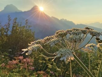 Coucher de soleil dans le Tyrol