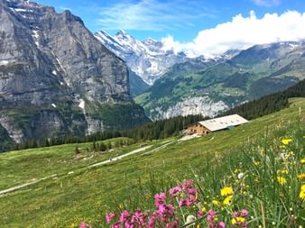 Paysage sur le trek de l'ours