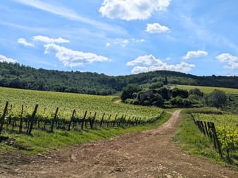 Environs de Greve in Chianti