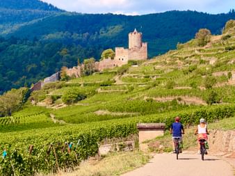 Deux cyclistes traversant des vignobles en terrasses sur la Route des Vins d'Alsace avec un château médiéval sur la colline et des montagnes boisées.