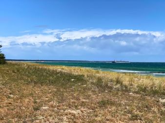 Côte de la mer Baltique avec herbes dorées, eau turquoise et jetée en bois s'étendant dans la mer sous un ciel bleu avec nuages blancs.