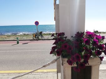 A vélo à Majorque