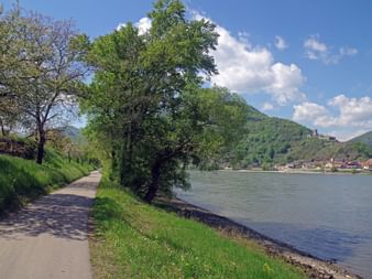 Piste cyclable pavée dans la région de Wachau le long du Danube avec collines vertes, arbres et village avec ruines de château visible.