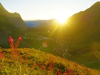 Coucher de soleil dans le massif du Mont Blanc avec rayons lumineux illuminant une vallée alpine verte. Fleurs sauvages rouges au premier plan.