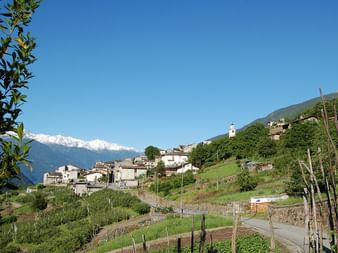 Village de Tirano à flanc de colline avec maisons en pierre, vignobles en terrasses et sommets alpins enneigés sous un ciel bleu.