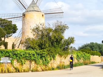 Cycliste en maillot jaune sur route rurale devant moulin à vent historique en pierre avec pales en bois à Majorque, entouré de végétation.