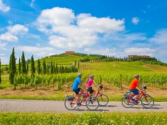 Groupe de trois cyclistes pédalant dans un paysage typiquement toscan