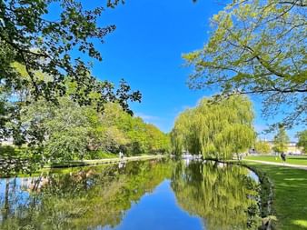 Étang paisible du parc d'Odense reflétant le ciel bleu et les arbres verts, avec un saule pleureur proéminent et des promeneurs sur les sentiers.