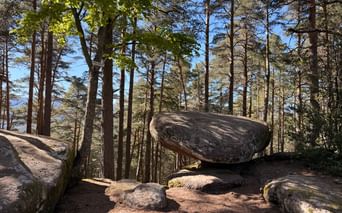 Grande roche en équilibre en forme de champignon sur un piédestal, entourée de pins dans la forêt des Hautes-Vosges, avec ciel bleu visible.