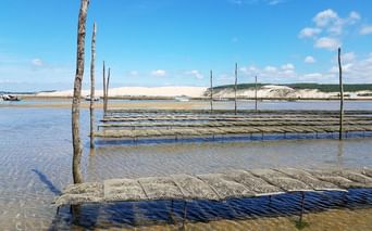 Bassin d'Arcachon