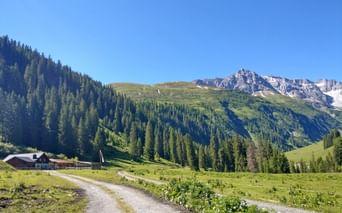 Vallée de Lech
