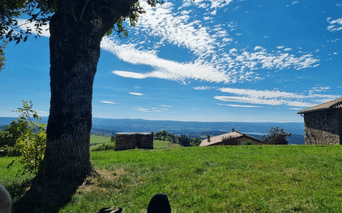 Vue le long du chemin de Stevenson montrant un grand arbre sur prairie verte, maisons en pierre et montagnes lointaines sous ciel bleu.