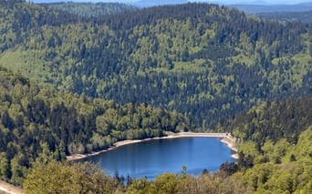 Lac de montagne bleu entouré de forêt dense de conifères dans les Hautes-Vosges. Collines boisées s'étendant vers montagnes lointaines.