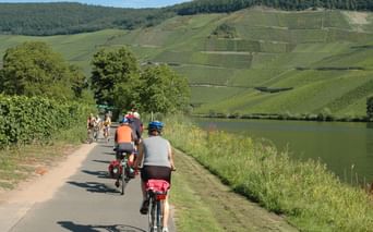 Pédaler Sur les rives de la Moselle