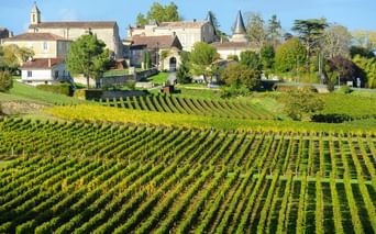 Vignobles de Saint-Emilion