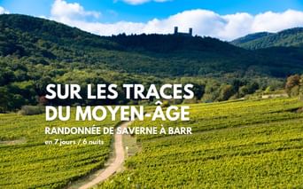 Randonnée de Saverne à Barr, sur les traces du Moyen-Âge