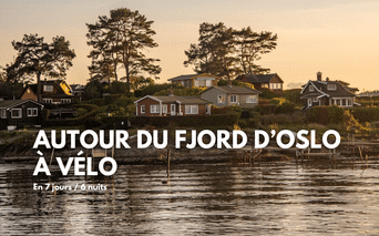 Maisons en bois colorées sur une colline surplombant le fjord d'Oslo au coucher du soleil, avec de grands pins et de l'eau calme.