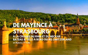 Heidelberg historique avec ruines du château sur la colline, Vieux Pont sur le Neckar et bâtiments aux toits rouges le long du fleuve.