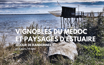 Cabane de pêche en bois sur pilotis avec filet de pêche au bord de l'estuaire du Médoc. Roseaux au premier plan, eau calme et ciel nuageux.