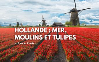 La Hollande à vélo : mer, moulins, tulipes