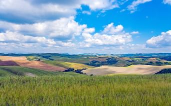Vue panoramique des collines ondulantes de Toscane avec champs de blé verts au premier plan et terres agricoles dorées s'étendant à l'horizon.