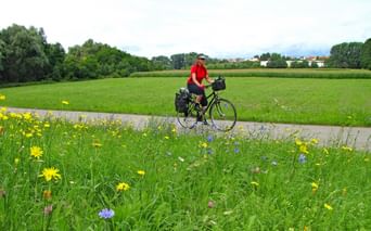 Cycliste sur la piste cyclable du Neckar