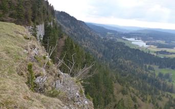 Mont Risoux, Jura