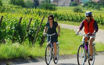 photo-alsace-route-des-vins-randonnee-velo-vignes
