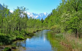 Ruisseau paisible coulant à travers des prairies vertes près de Garmisch-Partenkirchen avec des sommets alpins enneigés visibles au loin.