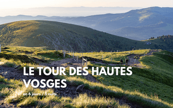 Sentier de montagne sinueux à travers les collines vertes des Hautes Vosges avec des chaînes de montagnes étagées sous une douce lumière du soir.