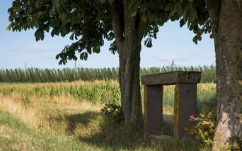 Bilwisheim