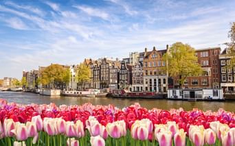 Vue pittoresque d'Amsterdam avec des tulipes au premier plan
