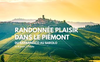 Splendide vue sur le vignoble de Barolo dans le Piémont italien