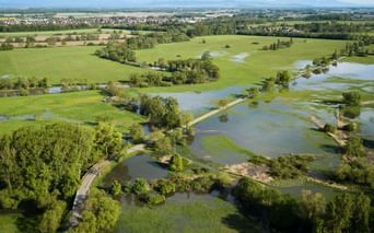 Vue aérienne sur le Ried alsacien