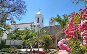 Tavira