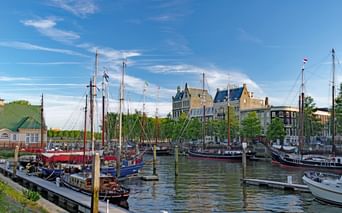 Port hollandais