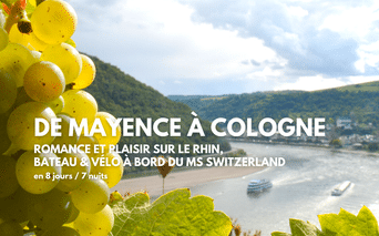 Raisins blancs et feuilles de vigne encadrent une vue du Rhin avec bateaux de croisière, collines vertes et ville fluviale sous un ciel nuageux.