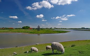 Parc national de l'Osterscheelde